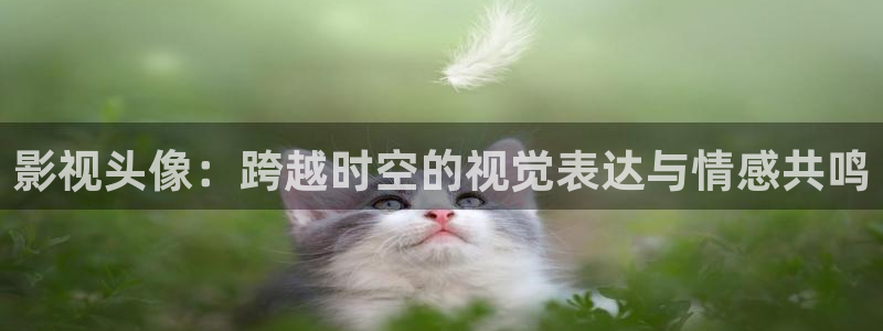 91草莓影院：影视头像：跨越时空的视觉表达与情感共鸣