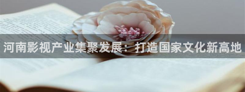 黄色的草莓视频：河南影视产业集聚发展：打造国家文化新高地