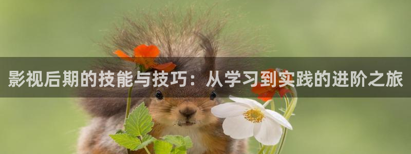 草莓视频app在线视频：影视后期的技能与技巧：从学习到实践的进阶之旅