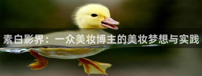 草莓视频正能量：素白影界：一众美妆博主的美妆梦想与实践