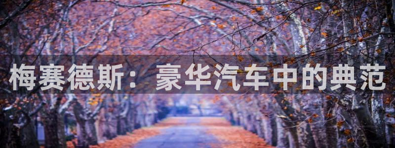 丝瓜草莓视频在线看：梅赛德斯：豪华汽车中的典范
