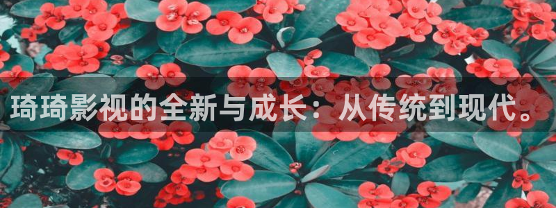 51草莓在线：琦琦影视的全新与成长：从传统到现代。