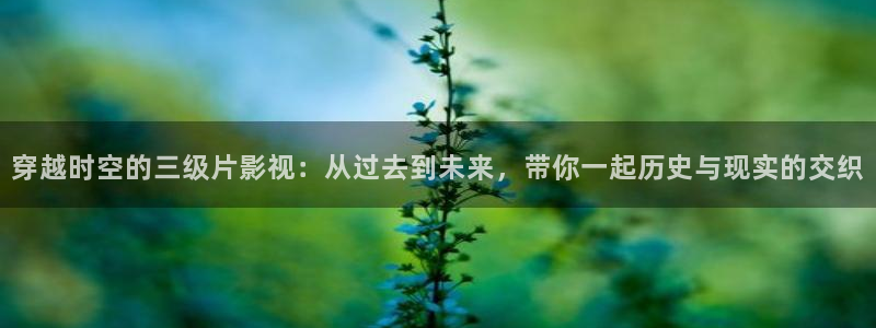 草莓视频哟哟资源网：穿越时空的三级片影视：从过去到未来，带你一起历史与现实的交织