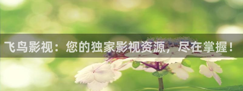 草莓视频appppp：飞鸟影视：您的独家影视资源，尽在掌握！