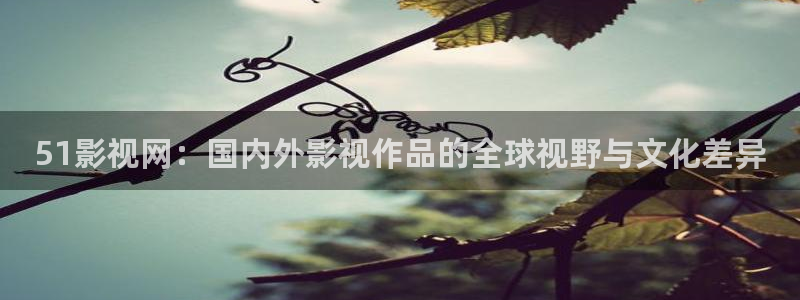 草莓视频在：51影视网：国内外影视作品的全球视野与文化差异