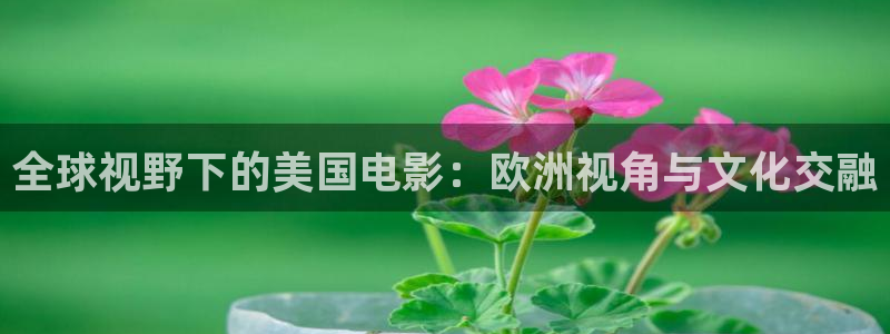 草莓视频免费观看黄：全球视野下的美国电影：欧洲视角与文化交融
